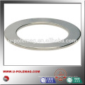 high quality ring magnetic for sale